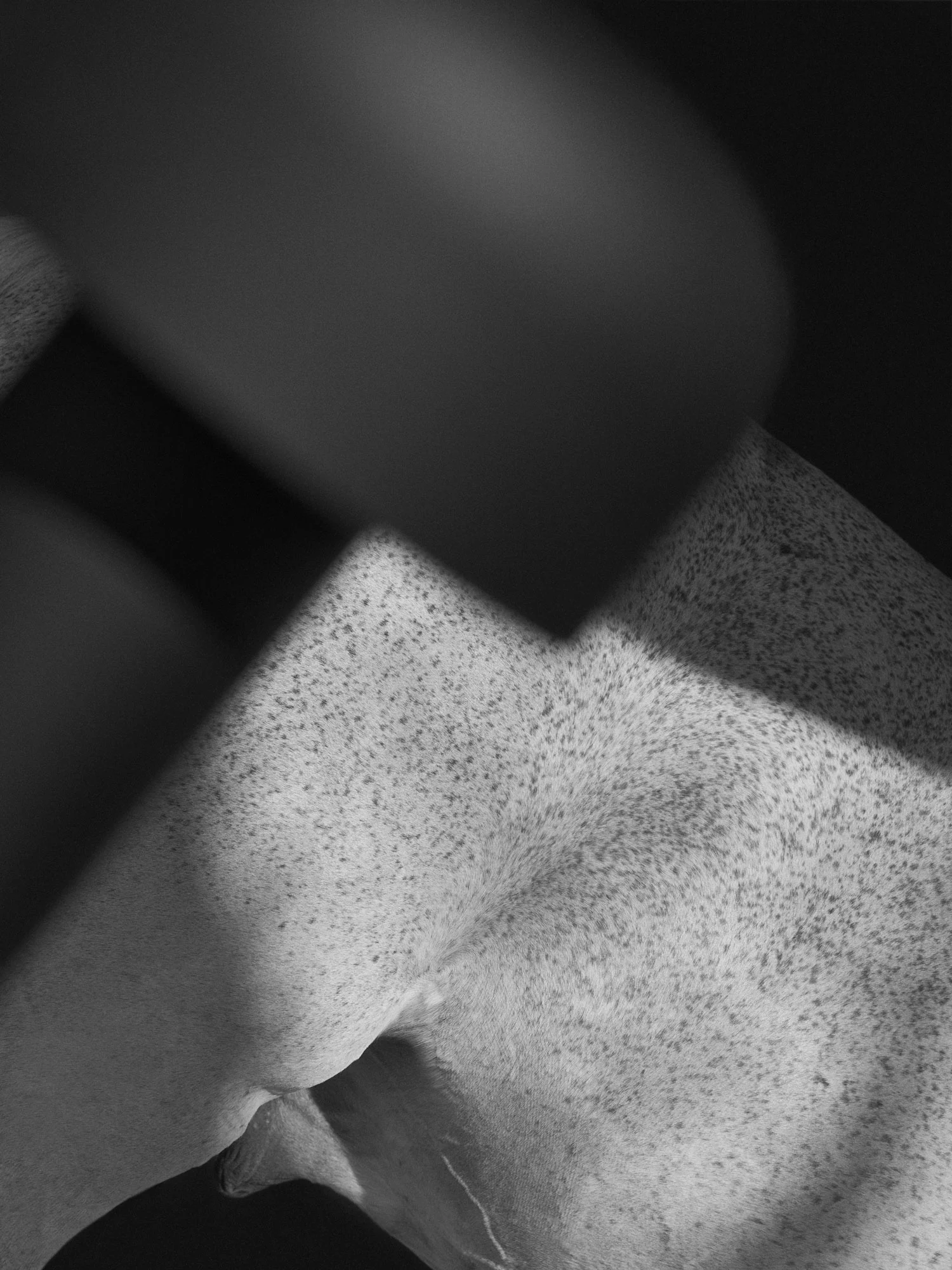 Flos Bellhop Tafellamp Draagbaar, Mat Zwart 4 Flos Bellhop Tafellamp Draagbaar, Mat Zwart - Afbeelding 2